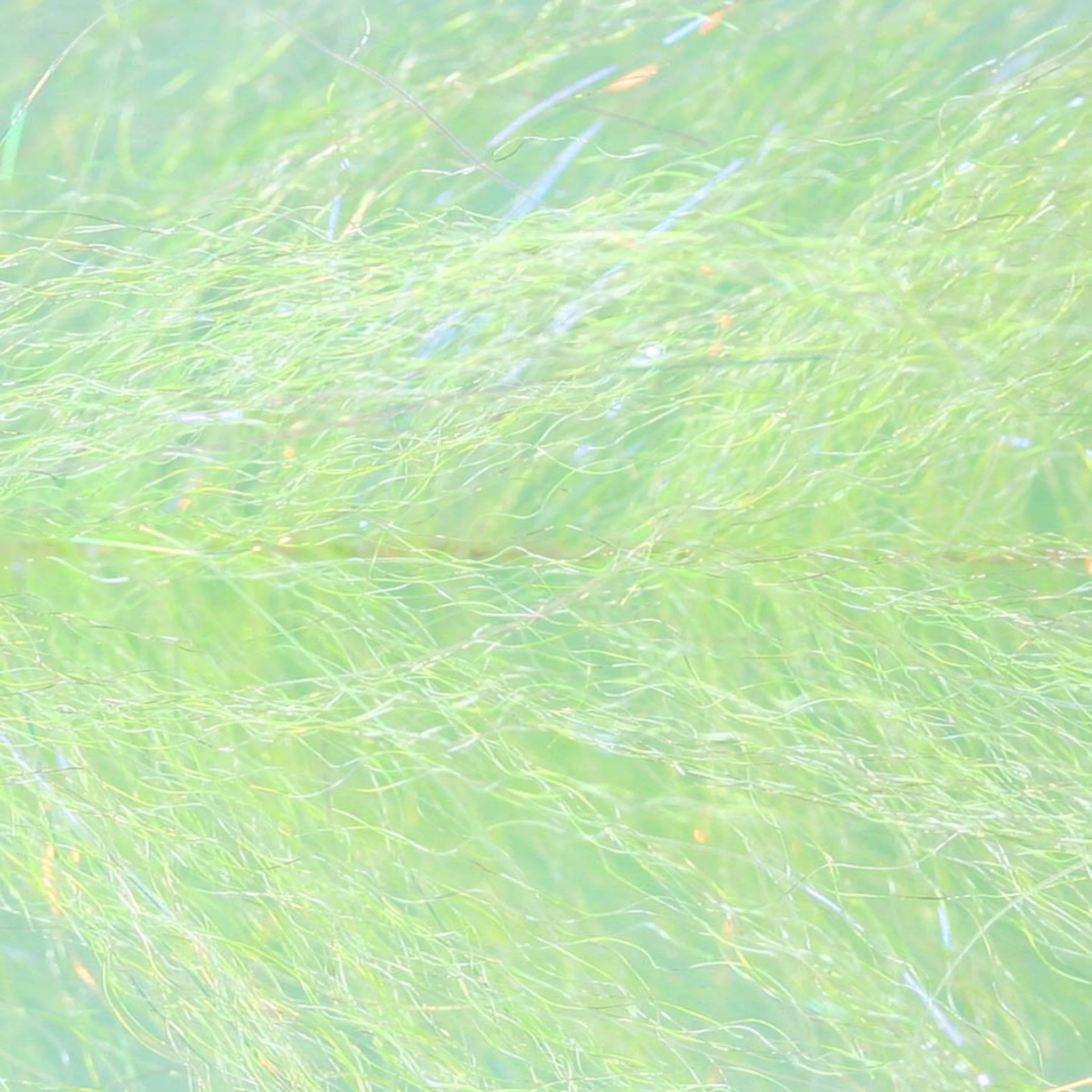 Thumbnail 17